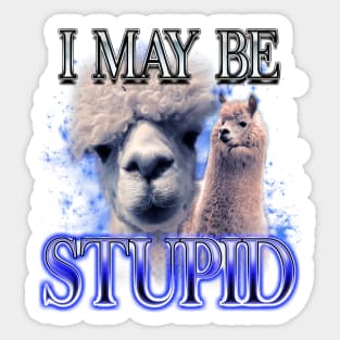 I May Be Stupid - Llama Dank Meme Sticker